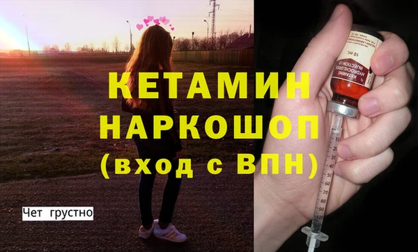 стаф Аркадак