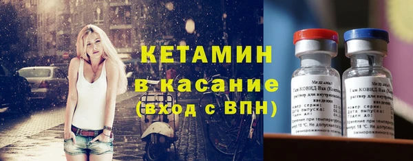 стаф Аркадак
