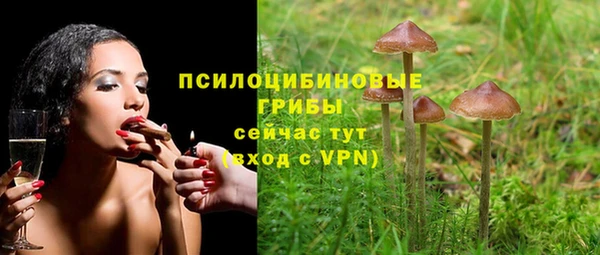 хмурый Армянск