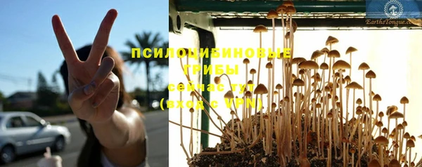 хмурый Армянск