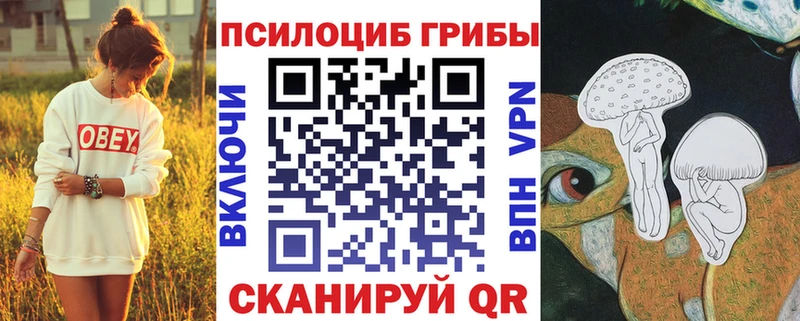 Псилоцибиновые грибы Cubensis  ОМГ ОМГ зеркало  Брянск  цена наркотик 